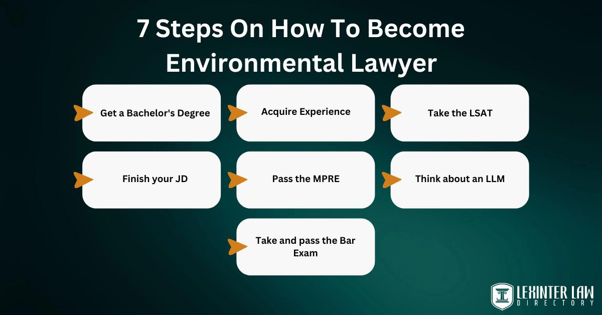 7 steps on how to become environmental lawyer
