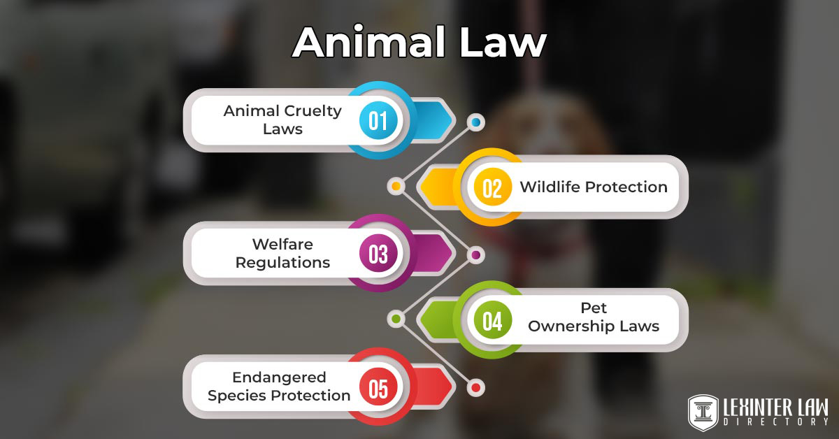 Animal Law