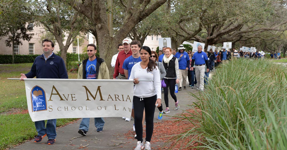 Ave Maria School Of Law