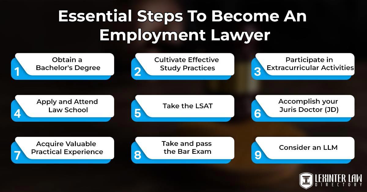 Essential Steps To Become An Employment Lawyer