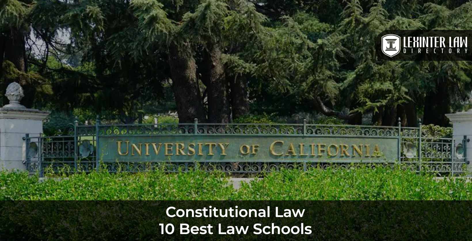 Best law schools for Constitutional law