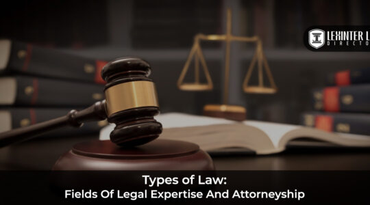 Types of Law: Fields of Legal Expertise and Attorneyship