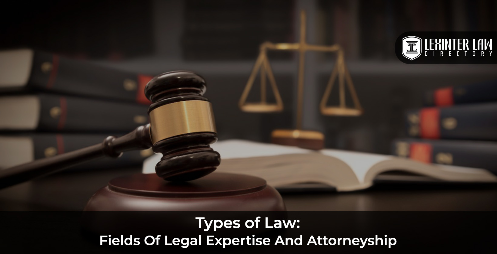 Types of Law: Fields of Legal Expertise and Attorneyship