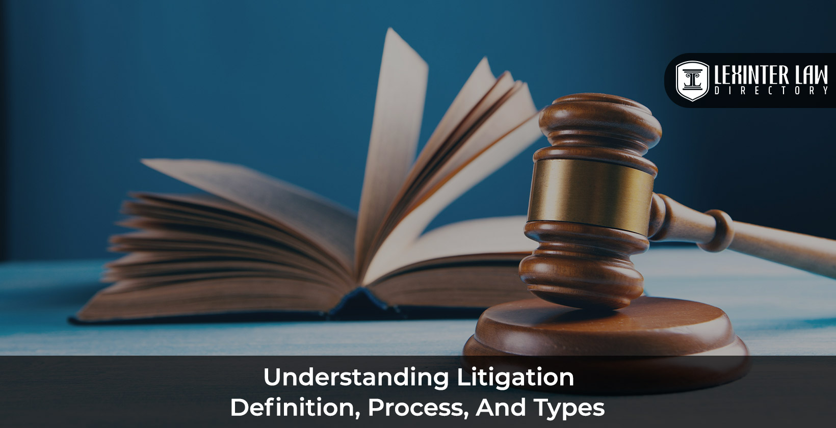 Litigation