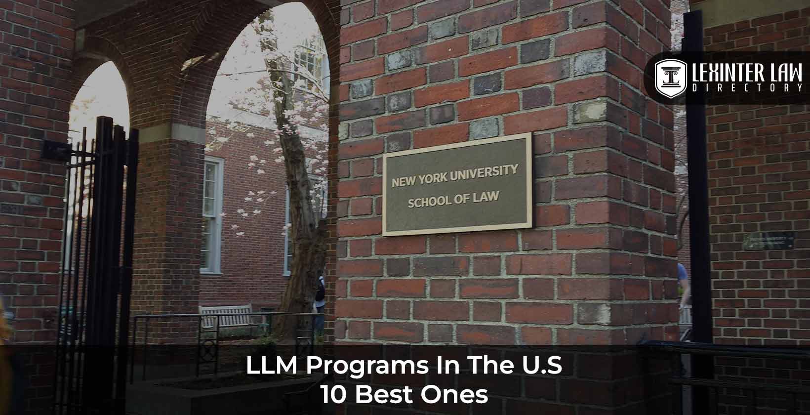Top LLM Program