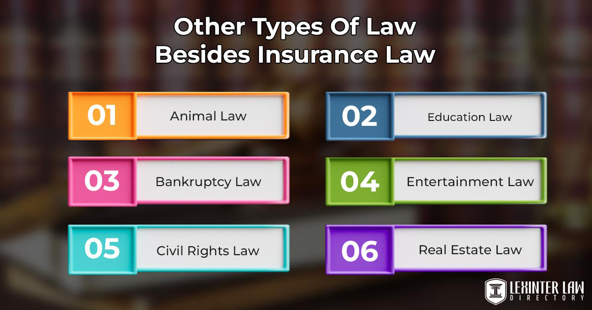 Other Types Of Law Besides Insurance Law