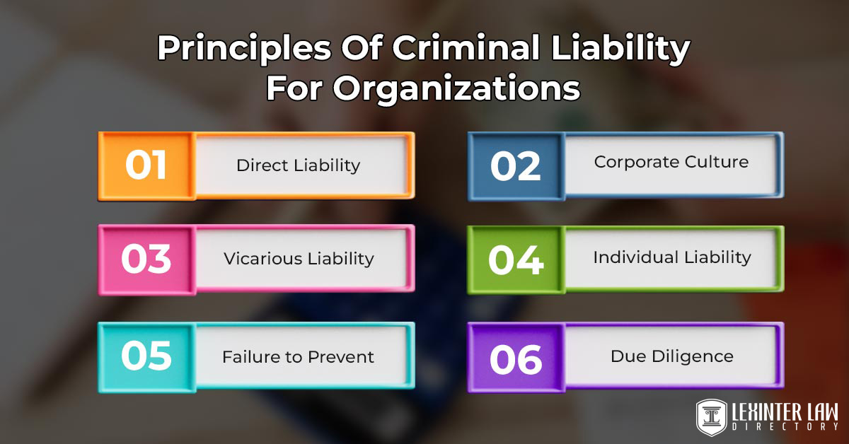 Principles Of Criminal Liability For Organizations