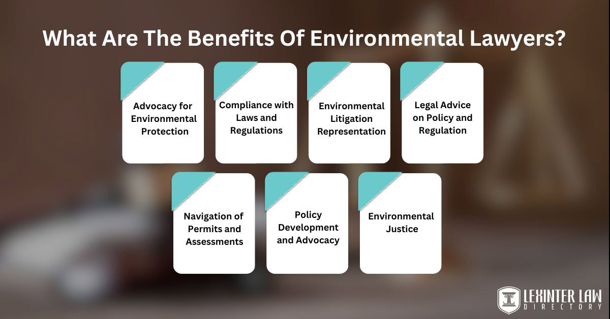 What Are The Benefits Of Environmental Lawyers