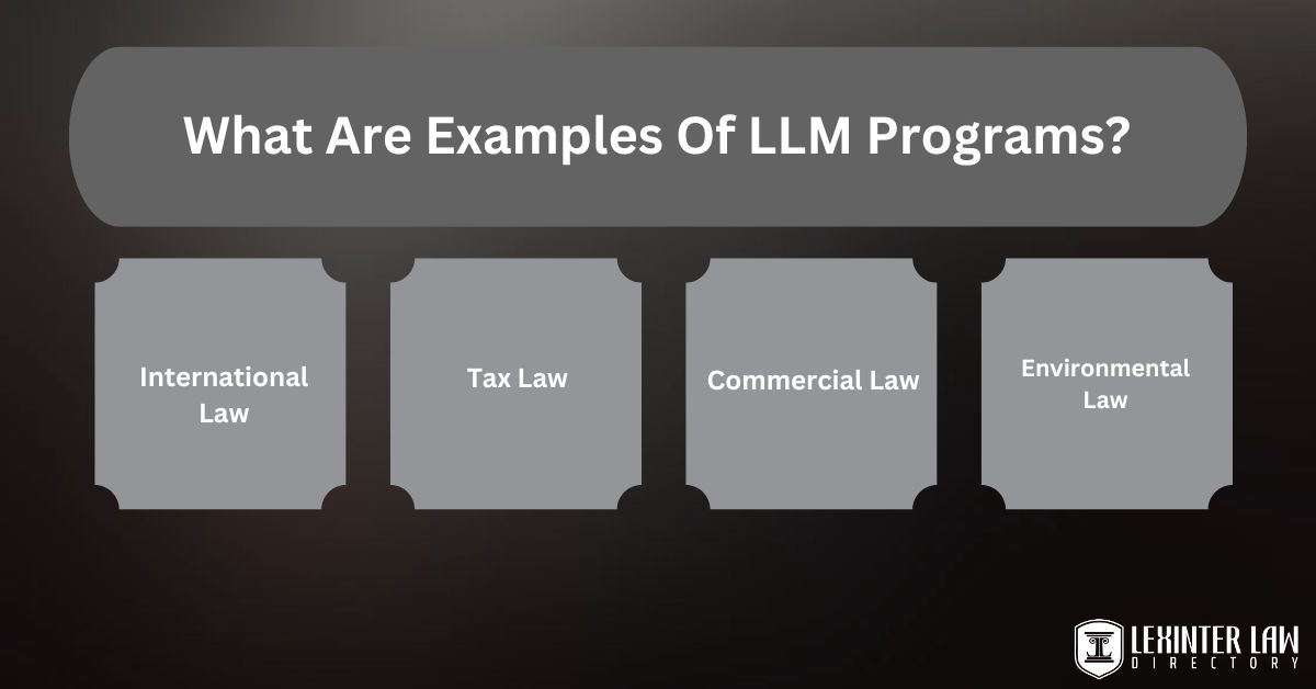 What Are Examples Of LLM Programs