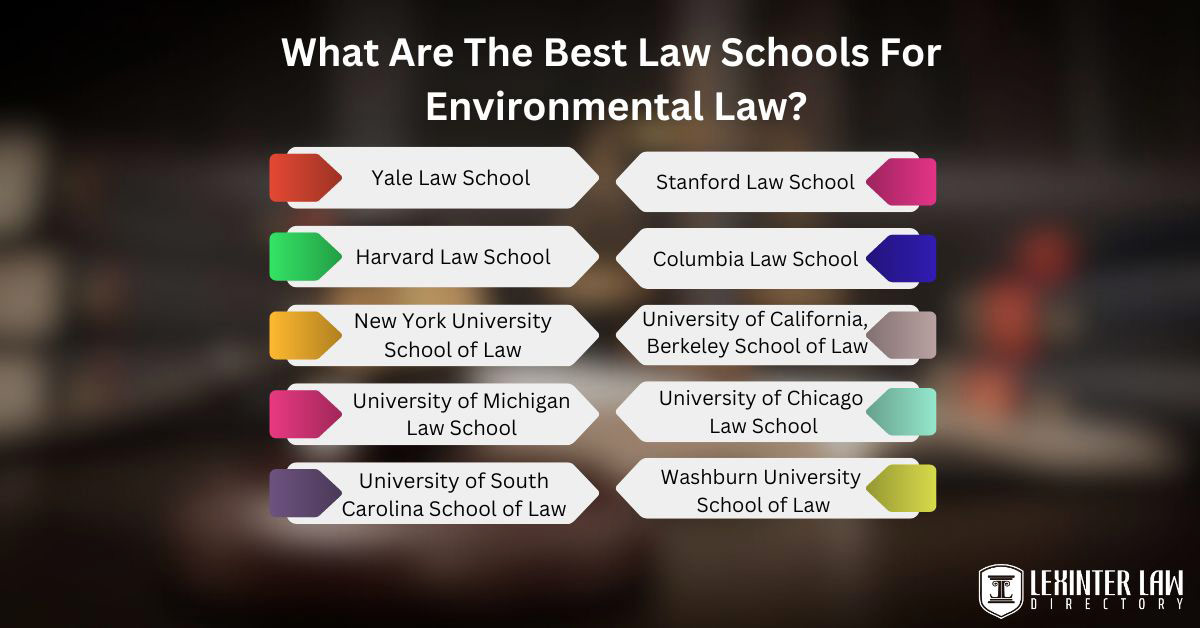 What Are The Best Law Schools For Environmental Law
