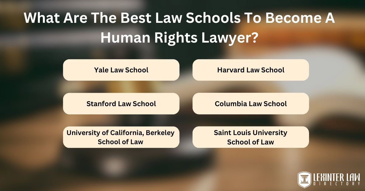 What Are The Best Law Schools To Become A Human Rights Lawyer