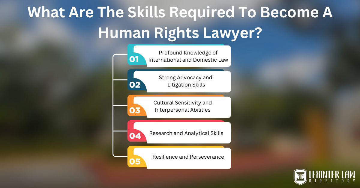 What Are The Skills Required To Become A Human Rights Lawyer