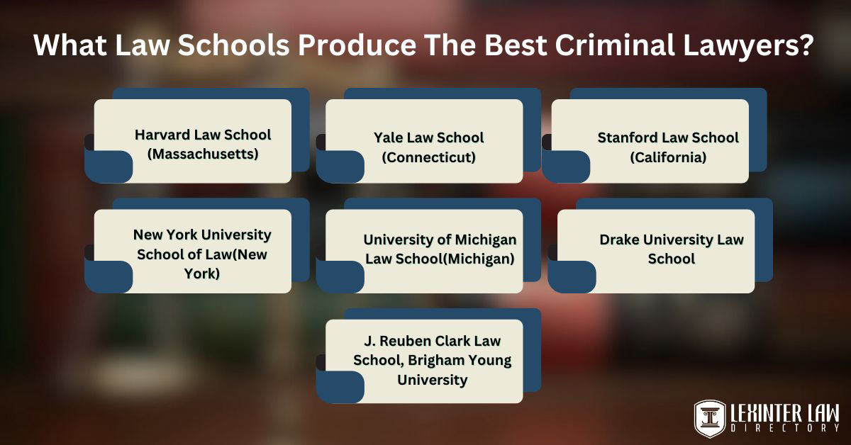 What Law Schools Produce The Best Constitutional Lawyers